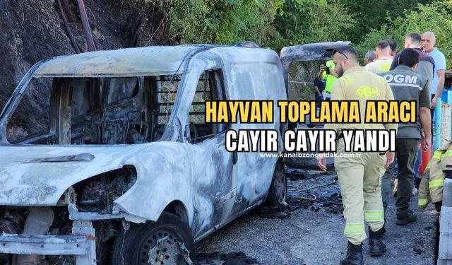 Belediyenin hayvan toplama aracında çıkan yangın ormanlık alana sıçradı