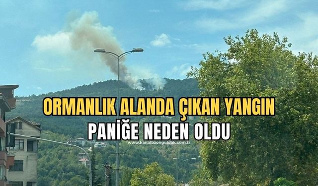 Ormanlık alanda çıkan yangın ekipleri harekete geçirdi