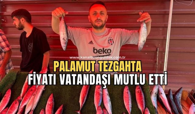 Palamut 100 liradan tezgahta yerini aldı