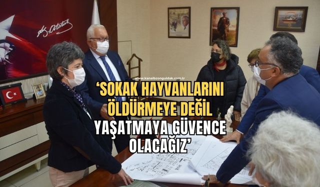 “Yeni bakımevi ve hayvan hastanesini kurmak için tüm hayvanseverleri dayanışmaya çağırıyoruz”