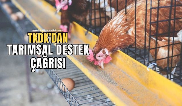 TKDK'dan tarımsal destek çağrısı