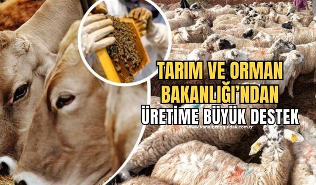 Tarımsal üretim planlaması hazırlanıyor! Üretime destek verilecek