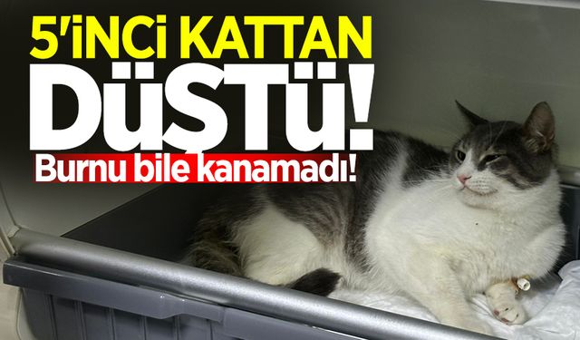 5'inci kattan düştü: Burnu bile kanamadı!