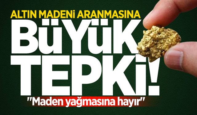 Altın madeni aranmasına büyük tepki! "Maden yağmasına hayır"