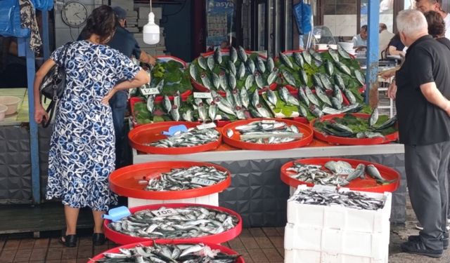 Balık av sezonu başladı tezgahlar balıkla doldu