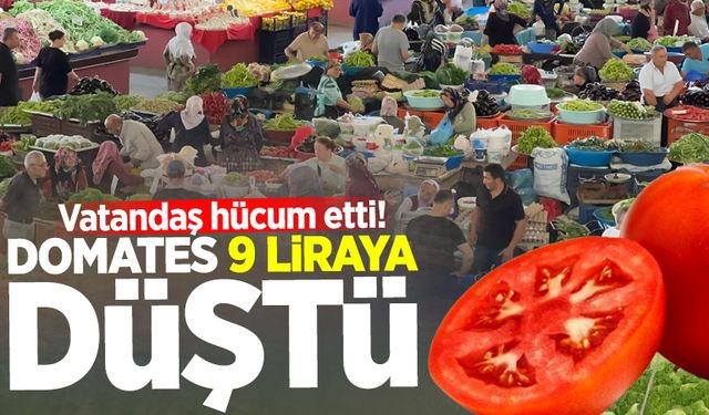 Domates 9 liraya düştü: Vatandaş hücum etti!