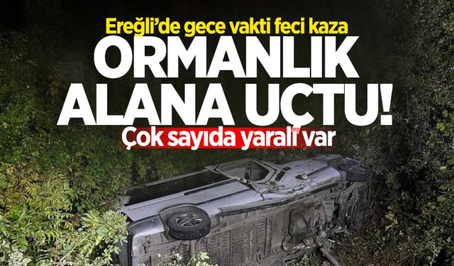 Ereğli'de gece vakti feci kaza: Ormanlık alana uçtu! Çok sayıda yaralı var