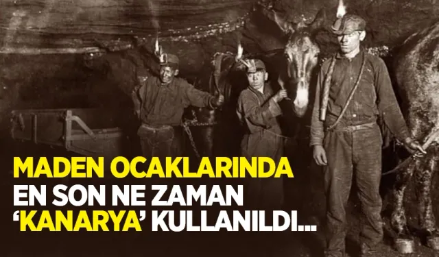 Yeraltı Kömür Madenlerinde Zararlı Gazları Tespiti İçin Kullanılan İlk Yöntemler