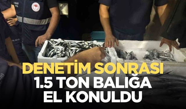 Denetimlerde yasal boyutta olmayan balıklara el koyuldu