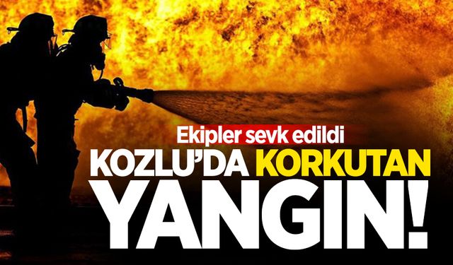 Kozlu'da korkutan yangın: Ekipler sevk edildi!