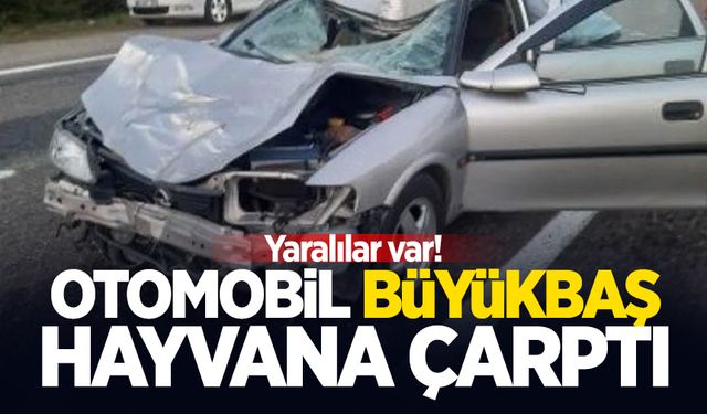 Otomobil büyükbaş hayvana çarptı; Yaralılar var!