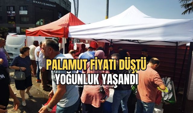 Palamutun fiyatı düştü! Kapış kapış gitti