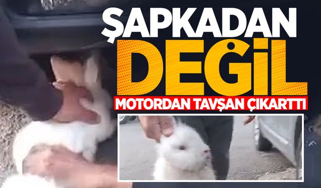 Şapkadan değil, motordan tavşan çıkarttı