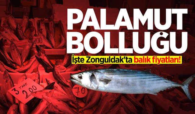 Tezgahlarda palamut bolluğu: İşte Zonguldak'ta balık fiyatları!