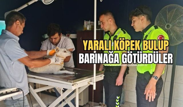 Polis ekipleri yaralı köpeği kurtardı