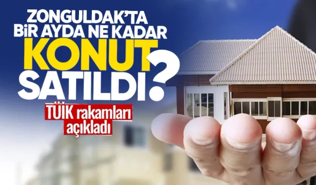 Zonguldak'ta 1 ayda kaç konut satıldı? TÜİK rakamları açıkladı