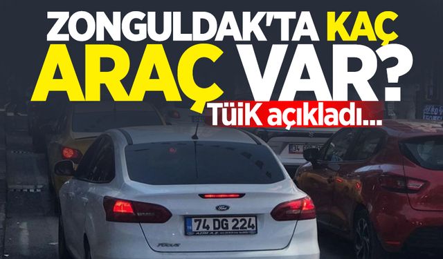 Zonguldak'ta kaç araç var? TÜİK açıkladı...