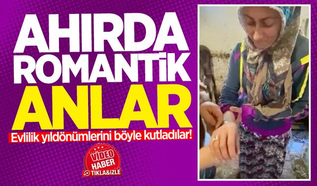 Ahırda romantik anlar: Evlilik yıldönümlerini böyle kutladılar!