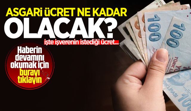 Asgari ücret ne kadar olacak? İşverenin istediği asgari ücreti açıkladı...