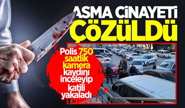 Asma cinayeti çözüldü! Polis 750 saatlik kamera kaydını inceleyip katili yakaladı!