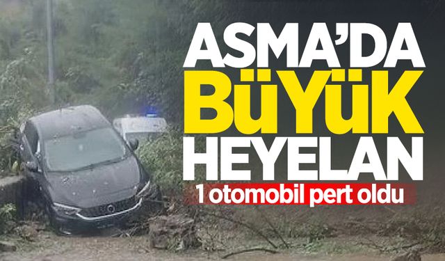 Asma'da büyük heyelan: Otomobil kullanılamaz hale geldi!