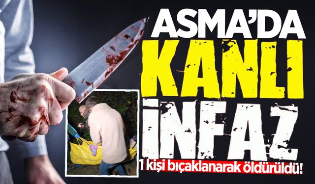 Asma'da korkunç cinayet: 1 kişi bıçaklanarak öldürüldü!