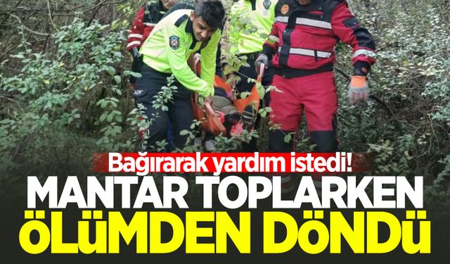 Bartın'da kadın ölümden döndü: Mantar toplarken ayağını kırdı!