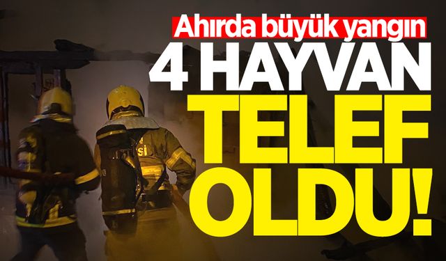 Bartın'da korkunç yangın: 4 hayvan telef oldu!