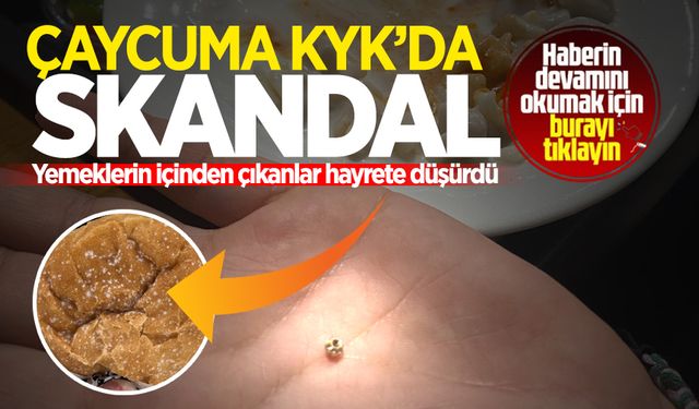 Çaycuma KYK'da skandal: Yemeklerin içinden çıkanlar hayrete düşürdü!