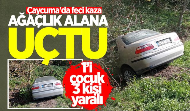 Çaycuma'da feci kaza: Ağaçlık alana uçtu! Yaralılar var...