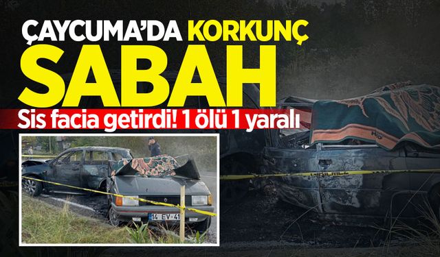 Çaycuma'da korkunç sabah: Sis facia getirdi! Araçta yanarak can verdi