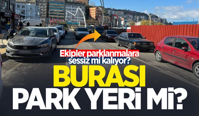 Ekipler Zonguldak'ta başıboş parklanmalara sessiz mi kalıyor?