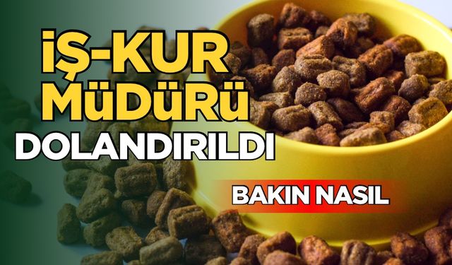 Eski İşkur müdürü dolandırıldı: Hemde öyle bir yüzden ki!