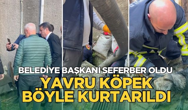 Şu kanalına sıkıştı: Belediye başkanı bile seferber oldu!