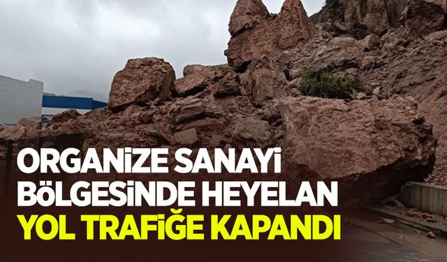 Organize Sanayi Bölgesi yolunda heyelan