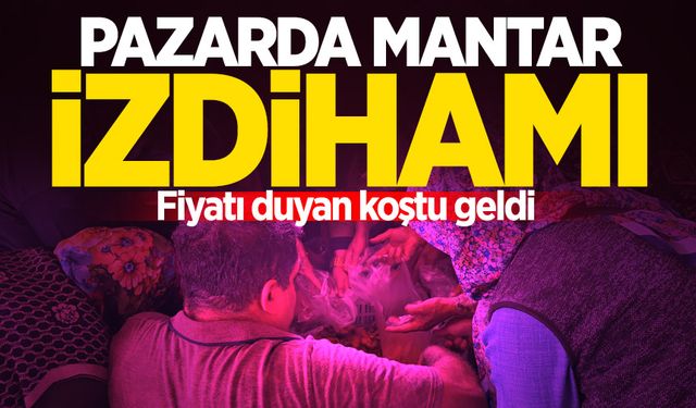 Pazarda mantar izdihamı: Fiyatı duyan koştu geldi!