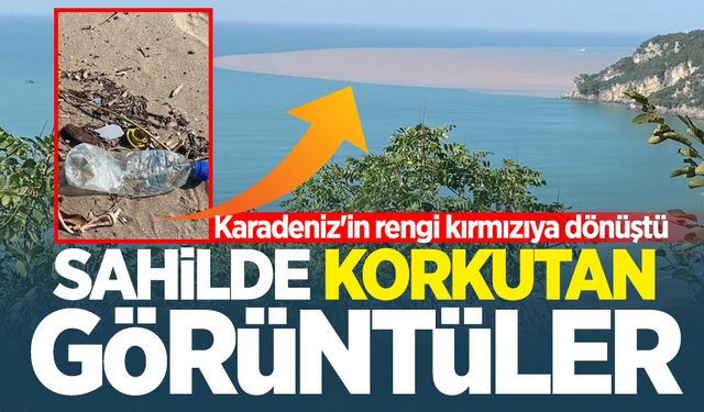 Sahilde korkutan görüntüler: Karadeniz'in rengi kırmızıya dönüştü