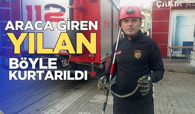 Park halinde minibüse giren yılan, itfaiyenin müdahalesiyle çıkarıldı