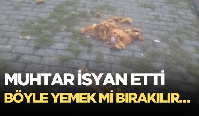 Muhtar’dan hayvanlara bırakılan yemeğe tepki