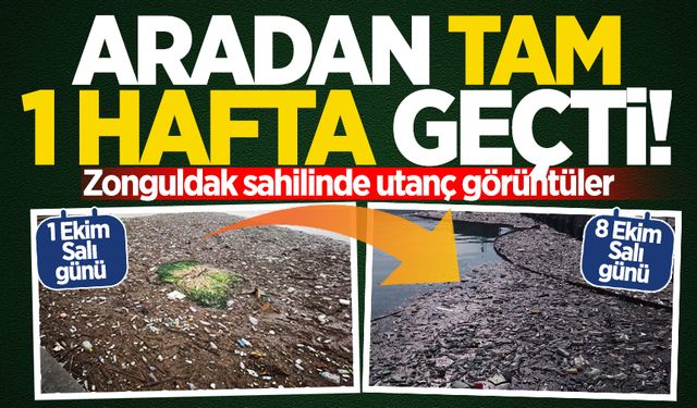 Zonguldak sahilinde utanç görüntüler: Aradan tam 1 hafta geçti yine aynı manzara!