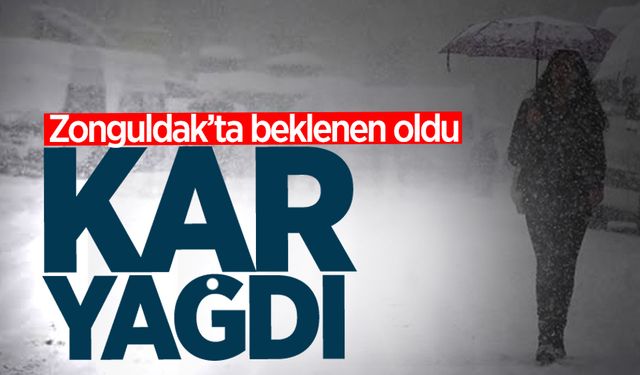 Zonguldak'a mevsimin ilk karı yağdı