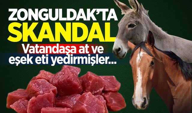 Zonguldak'ta at ve eşek eti satan işletmeler açıklandı!