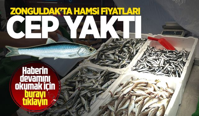 Zonguldak'ta hamsi fiyatları cep yaktı