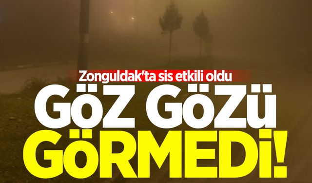 Zonguldak'ta sis etkili oldu! Göz gözü görmedi