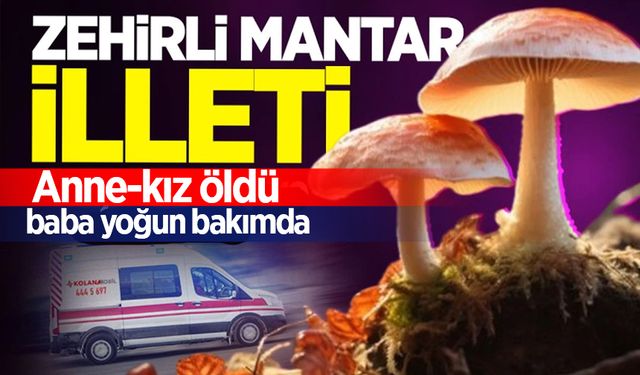 Zonguldak'ta zehirli mantar illeti: Anne-kız öldü, baba yoğun bakımda!