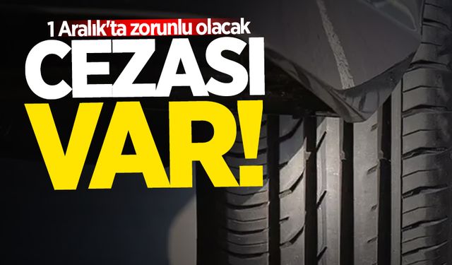 1 Aralık'ta zorunlu olacak! Cezası var