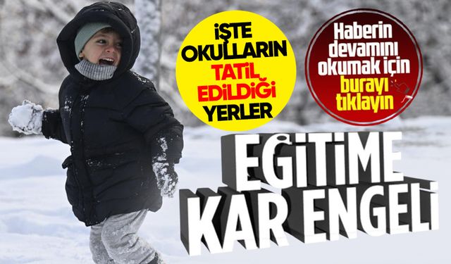 Kar tatili olan iller: Bugün (27 Kasım 2024) okullar tatil mi, hangi illerde okullar tatil edildi?