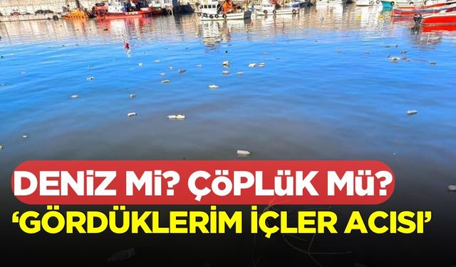 Türk Eğitim Sen Başkanı Şahin Ören: Deniz mi? Çöplük mü?