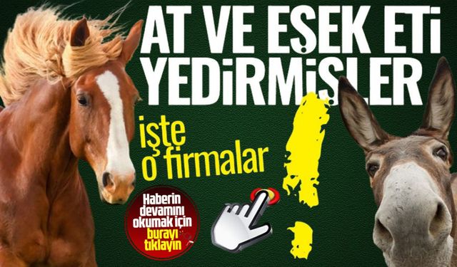 GIDADA HİLE YAPAN FİRMALAR | At ve eşek eti yedirmişler!