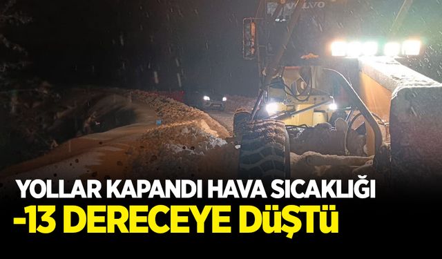 Hava buz kesti: Sıfırın altında 13 derece ölçüldü